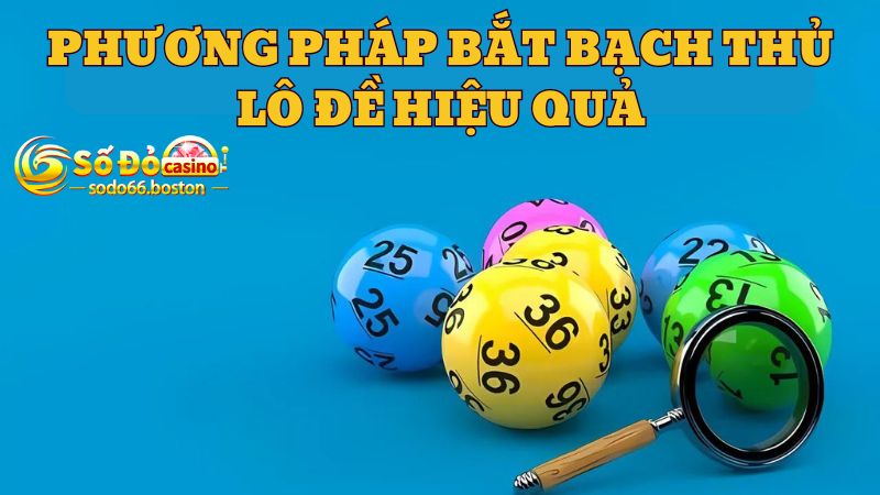 Phương pháp bắt bạch thủ lô đề hiệu quả nhất